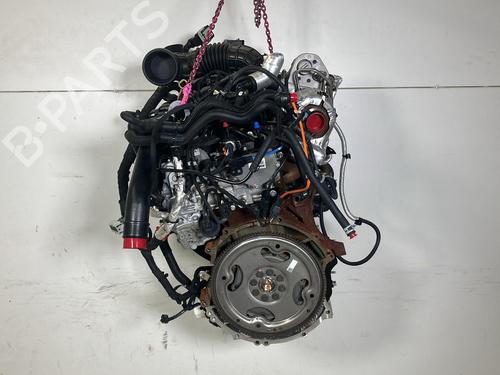 Engine FORD TRANSIT V363 Platform/Chassis (FED, FFD) 2.0 EcoBlue | BP34161666M1  - Image 6