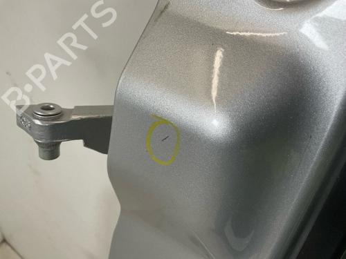 Left front door FORD TRANSIT V363 Platform/Chassis (FED, FFD) 2.0 EcoBlue | BP19733099C2 