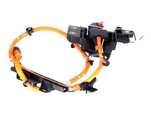 Cable BMW X3 (G01, F97, G08) xDrive 30 e Plug-in-Hybrid | BP29503638E12 