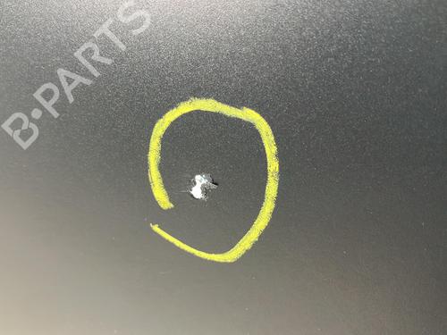 Left front door FORD TRANSIT V363 Platform/Chassis (FED, FFD) 2.0 EcoBlue | BP33698064C2  - Image 5