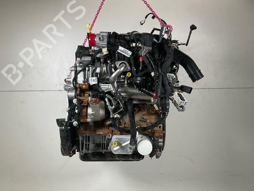 Used Engine FORD TRANSIT V363 Platform/Chassis (FED, FFD) 2.0 EcoBlue (170 hp) 19636710
