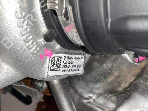 Motor FORD TRANSIT V363 Platform/Chassis (FED, FFD) 2.0 EcoBlue | BP38326167M1 - Image 10
