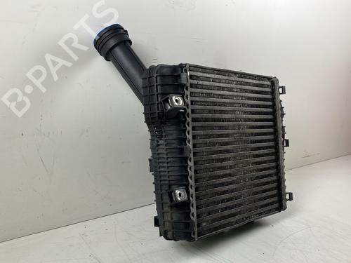 Water radiator VW TOUAREG (7LA, 7L6, 7L7) 3.0 V6 TDI | BP32428003M31