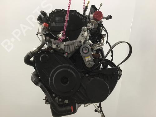 Engine FORD TRANSIT V363 Platform/Chassis (FED, FFD) 2.0 EcoBlue | BP19572951M1 