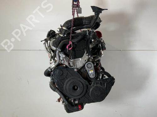 Engine FORD TRANSIT V363 Platform/Chassis (FED, FFD) 2.0 EcoBlue | BP37422332M1 - Image 3