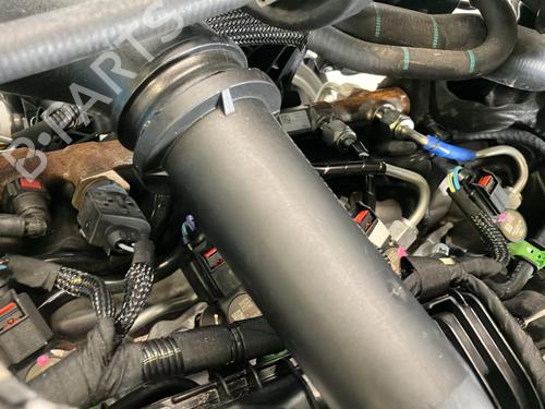 Engine FORD TRANSIT V363 Platform/Chassis (FED, FFD) 2.0 EcoBlue | BP40040446M1  - Image 8