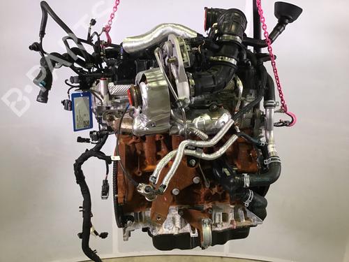 Used Engine FORD TRANSIT V363 Platform/Chassis (FED, FFD) 2.0 EcoBlue (170 hp) 19449996