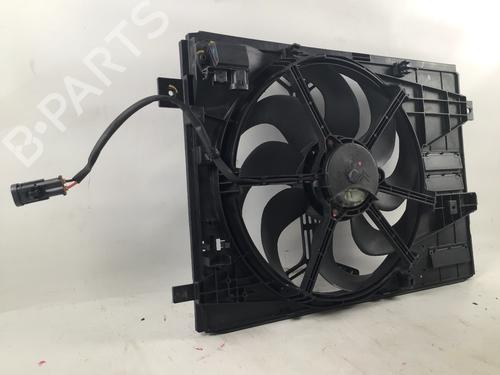 Radiator fan PEUGEOT 308 SW II (LC_, LJ_, LR_, LX_, L4_) 1.6 BlueHDi 120 | BP23440496M35 