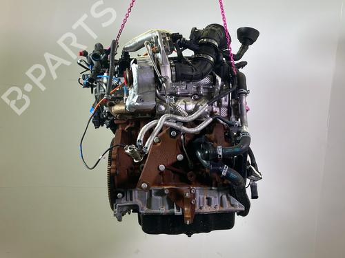 Engine FORD TRANSIT V363 Platform/Chassis (FED, FFD) 2.0 EcoBlue | BP35931482M1 - Image 10