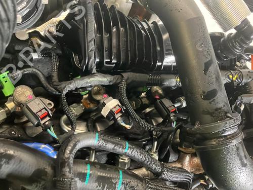 Used Engine Engine FORD TRANSIT V363 Platform/Chassis (FED, FFD) 2.0 EcoBlue (170 hp) 33698075 33698075