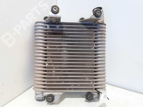 Intercooler ISUZU TROOPER III  | BP3075081M30 