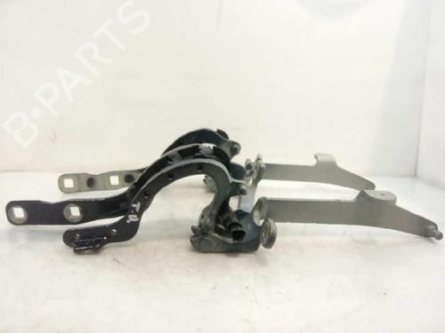 Used Hinge/Door check strap BMW 5 Gran Turismo (F07) 520 d (184 hp) 14231777