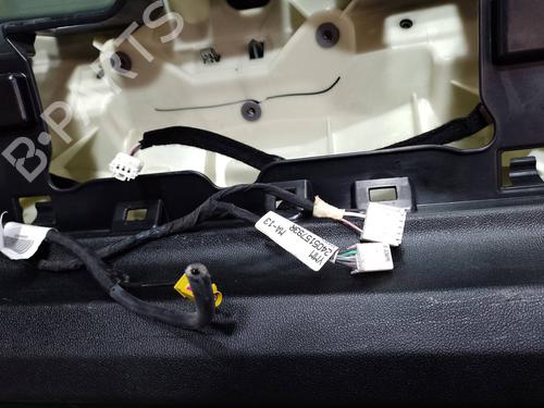 Tailgate RENAULT MEGANE IV Hatchback (B9A/M/N_)  | BP18310043C6 