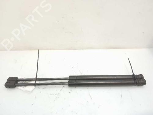 Gassdemper Bakluke VW PASSAT B6 (3C2) [2005-2010]  14231866