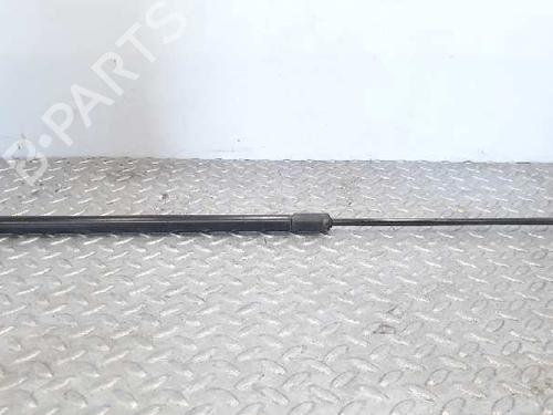 Used Hood lift support VW PASSAT B6 (3C2) [2005-2010]  14234460