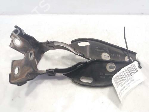 Hinge/Door check strap SEAT LEON (1M1)  | BP14233158C146 