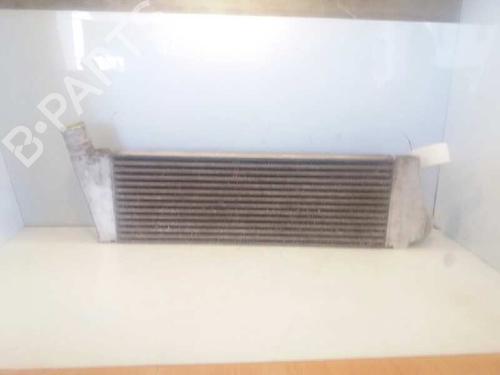 Intercooler RENAULT MEGANE II (BM0/1_, CM0/1_)  | BP5208630M30 
