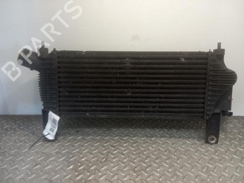 Used Intercooler NISSAN PATHFINDER III (R51) 2.5 dCi (174 hp) 10564677