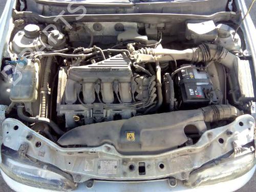 Køler FIAT BRAVO I (182_)  | BP5577905M31 