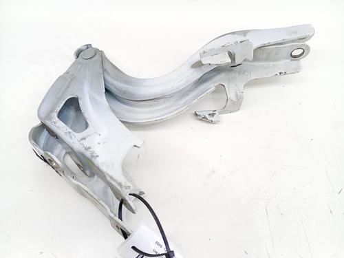 Used Hinge/Door check strap Hinge/Door check strap 36915160 36915160