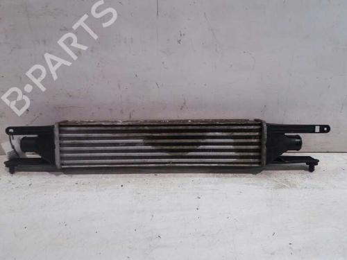 Used Intercooler FIAT GRANDE PUNTO (199_) [2005-2025]  4612040