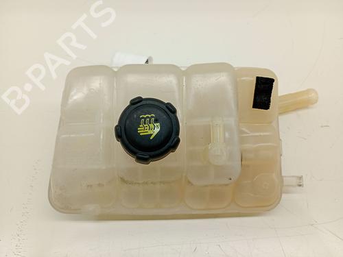 expansion-tank-renault-megane-iii-hatchback-bz01_-b3_-2008-35803246 main image