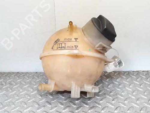 Expansion tank VW SHARAN (7M8, 7M9, 7M6) 2.8 VR6 (174 hp)null