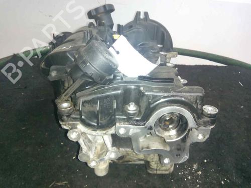Cylinder head LAND ROVER DISCOVERY III (L319) 2.7 TD 4x4 | BP10980062M5