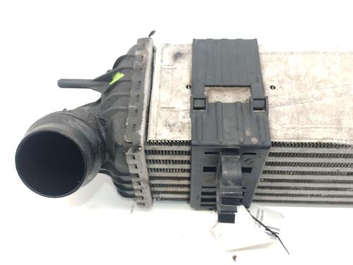 Intercooler RENAULT LAGUNA III (BT0/1) 2.0 dCi (BT01, BT08, BT09, BT0E, BT0K, BT12, BT1C, BT1D,... | BP31943455M30