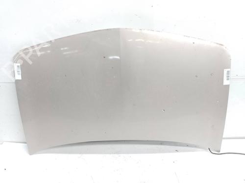 Used Hood RENAULT MEGANE II (BM0/1_, CM0/1_) [2001-2012]  19019862