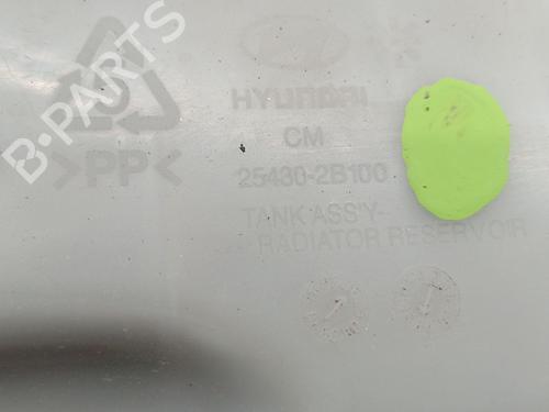 Expansion tank HYUNDAI SANTA FÉ II (CM)  | BP24199193C120 