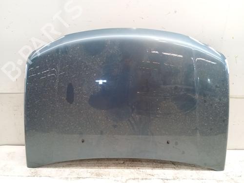 hood-suzuki-grand-vitara-ii-jt-te-td-2005-39448519 main image