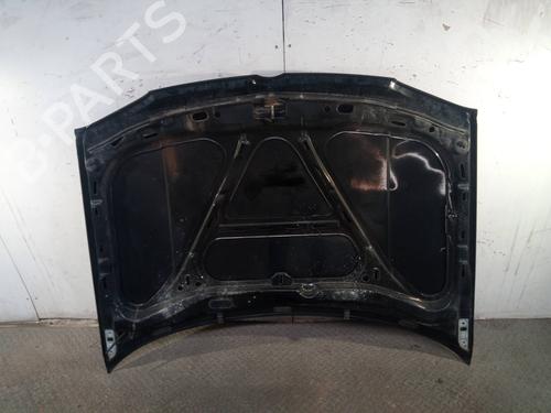 Hood VW GOLF IV (1J1) 2.0 | BP12523767C1 