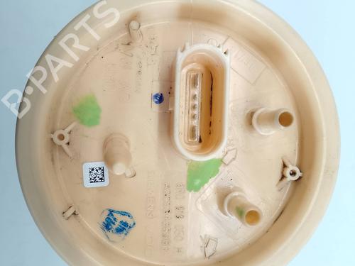 Fuel pump SEAT IBIZA IV (6J5, 6P1)  | BP21375024M76 