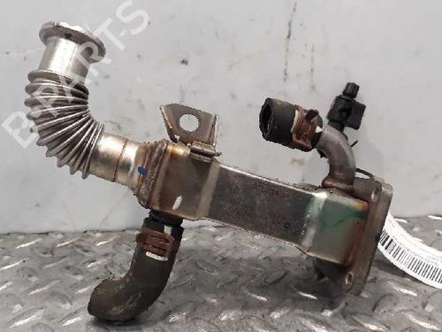 Used Egr RENAULT SCÉNIC II (JM0/1_) [2003-2010]  14234672