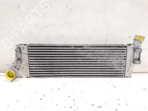 Used Intercooler RENAULT GRAND SCÉNIC II (JM0/1_) [2004-2009]  5099251