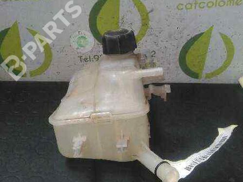 expansion-tank-renault-megane-iii-hatchback-bz01_-b3_-15-dci-2008-3056821 main image
