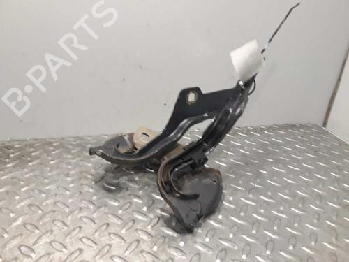 Used Hinge/Door check strap RENAULT CLIO III (BR0/1, CR0/1) [2005-2014]  14233640