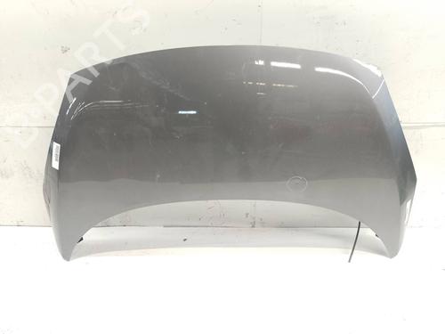 Used Hood RENAULT SCÉNIC III (JZ0/1_) 1.6 16V (JZ0U, JZ1B) (110 hp) 21065306