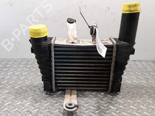Used Intercooler SMART FORFOUR (454) [2004-2006]  5580801