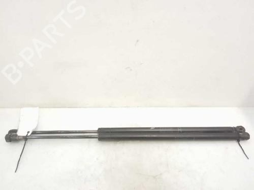 Used Tailgate lift support TOYOTA COROLLA Verso (ZER_, ZZE12_, R1_) 2.0 D-4D (CUR10_, CUR10R) (116 hp) 14231842