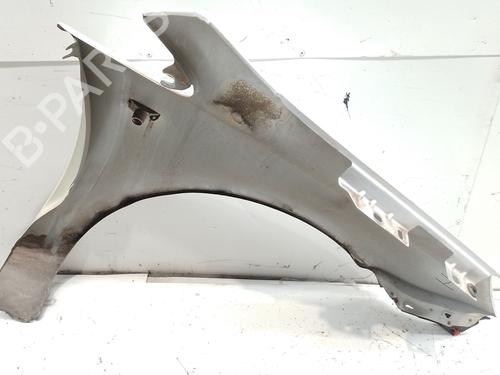Left front fenders OPEL CORSA D (S07) 1.3 CDTI (L08, L68) | BP29538963C41
