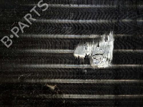 Water radiator SEAT ALTEA XL (5P5, 5P8)  | BP3240841M31 