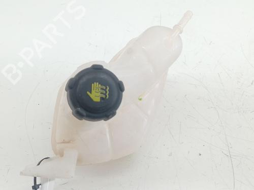 Expansion tank RENAULT KADJAR (HA_, HL_) 1.5 BLUE dCi 115 (HLA6) 217114EA0A | 217114EA0A | 217114EA0A