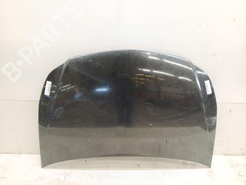 Panser SUZUKI SX4 (EY, GY) 1.9 DDiS (RW419D) (120 hp) 30616506