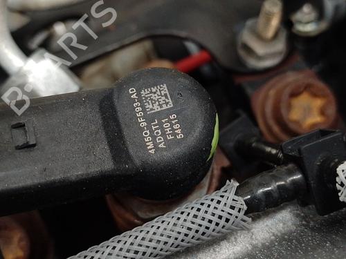 Engine FORD FOCUS II (DA_, HCP, DP) 1.8 TDCi | BP26001330M1 