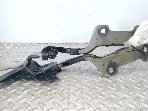 Used Hinge/Door check strap RENAULT CLIO III (BR0/1, CR0/1) [2005-2014]  14234172