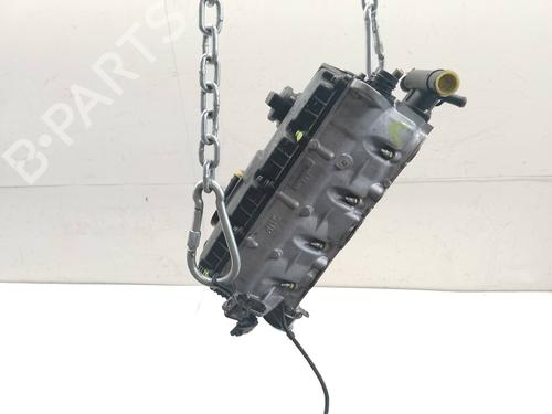 Used Cylinder head VW CADDY III Box Body/MPV (2KA, 2KH, 2CA, 2CH) [2004-2016]  19272379