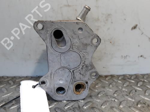 Oil radiator AUDI A4 B7 (8EC)  | BP14236463M33 