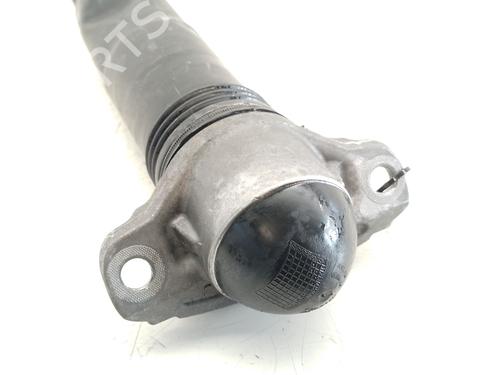 Left rear shock absorber VW ARTEON (3H7, 3H8)  | BP27263189M18 